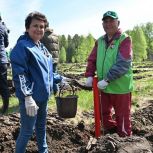 Алтайские единороссы заложили «Сад памяти» в Первомайском районе