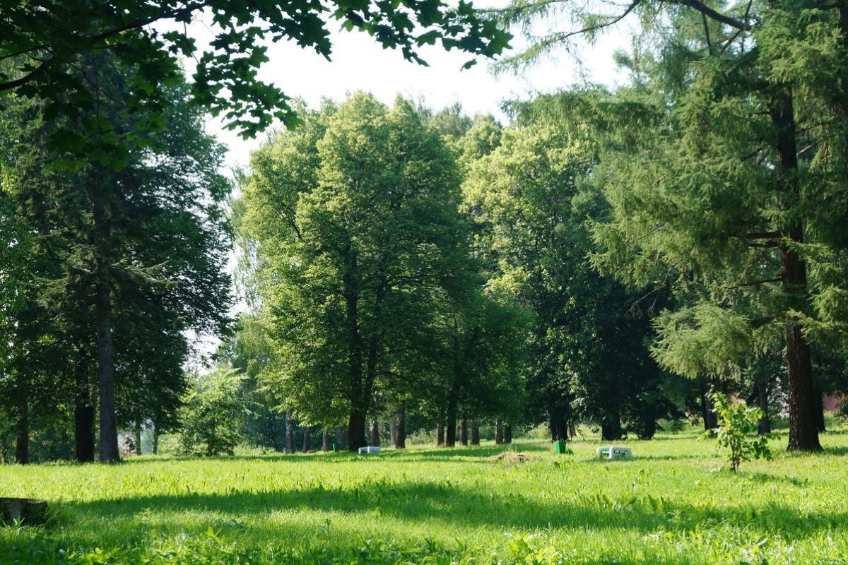 В Приволжском районе по народной программе «Единой России» продолжается обновление парка с вековой историей
