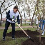 Михаил Котюков вместе с волонтёрами присоединился к Международной акции «Сад памяти»