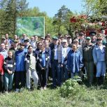 «Единая Россия» организовала высадку деревьев в регионах