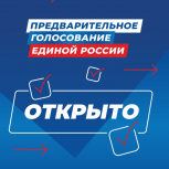 Сегодня в регионе стартовало предварительное голосование Единой России