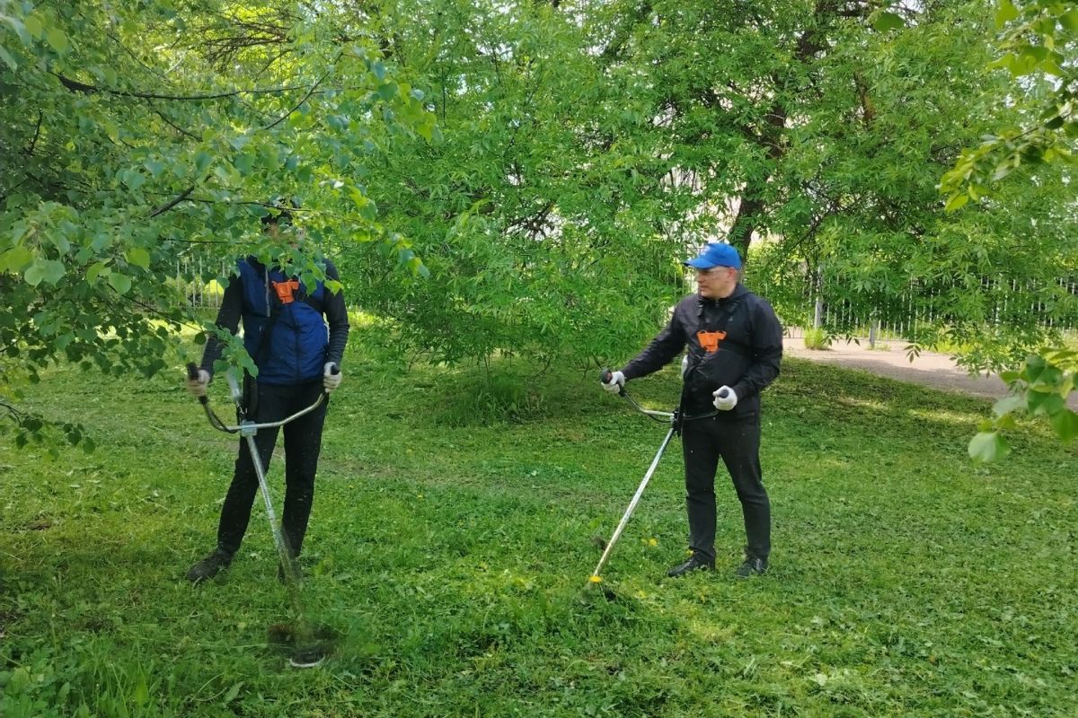 «Городская среда»: партийцы вышли на покос травы