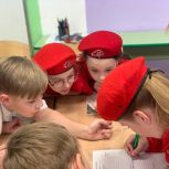 Реализация партийного проекта "Чистая страна"