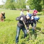 В Кадомском районе прошла акция «Сад памяти»