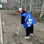 Единороссы Мурманской области приняли участие в субботниках