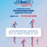В Рязанской области стартовало электронное предварительное голосование