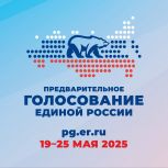 Более 126 тысяч избирателей зарегистрировались для участия в электронном предварительном голосовании