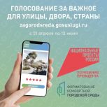 Голосование продолжается
