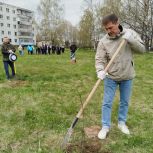 Активисты Кинешемского городского местного отделения «Единой России» провели акцию «Роща Победы»