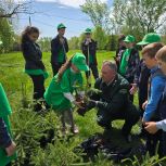 В Большеигнатовском районе высадили 50 елей в рамках акции «Сад Памяти»
