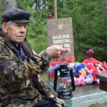 Акция «Сад памяти»: В Лодейном поле высажены деревья в честь подвигов героев войны