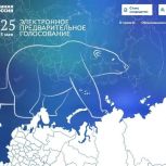 Сегодня последний день регистрации избирателей в системе электронного предварительного голосования