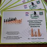 В Курганской области тысячи школьников получили Сертификаты шахматного образования
