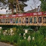 В Анапе в честь 80-летия Победы появилась аллея героев
