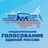 «Единая Россия» Ставрополья запустила процедуру электронного предварительного голосования по четвертой модели