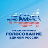 Депутаты Государственной Думы приняли участие в предварительном голосовании