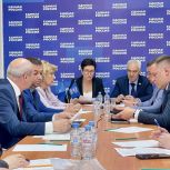 Депутаты фракции «Единая Россия» обсудили реализацию региональных программ в 2025 году