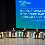 Гольдштейн: Первичные отделения должны стать связующим звеном между властью и жителями