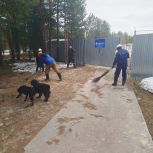 Пуровчане приняли участие в «Месячнике чистоты»