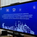 Состоялось очередное заседание Воронежского организационного комитета по проведению предварительного голосования
