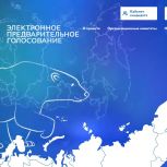 В Курской области единороссы дали старт предварительному голосованию