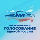 19-25 мая пройдет предварительное голосование «Единой России»