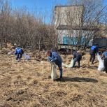 Депутаты продолжают масштабную уборку городских территорий