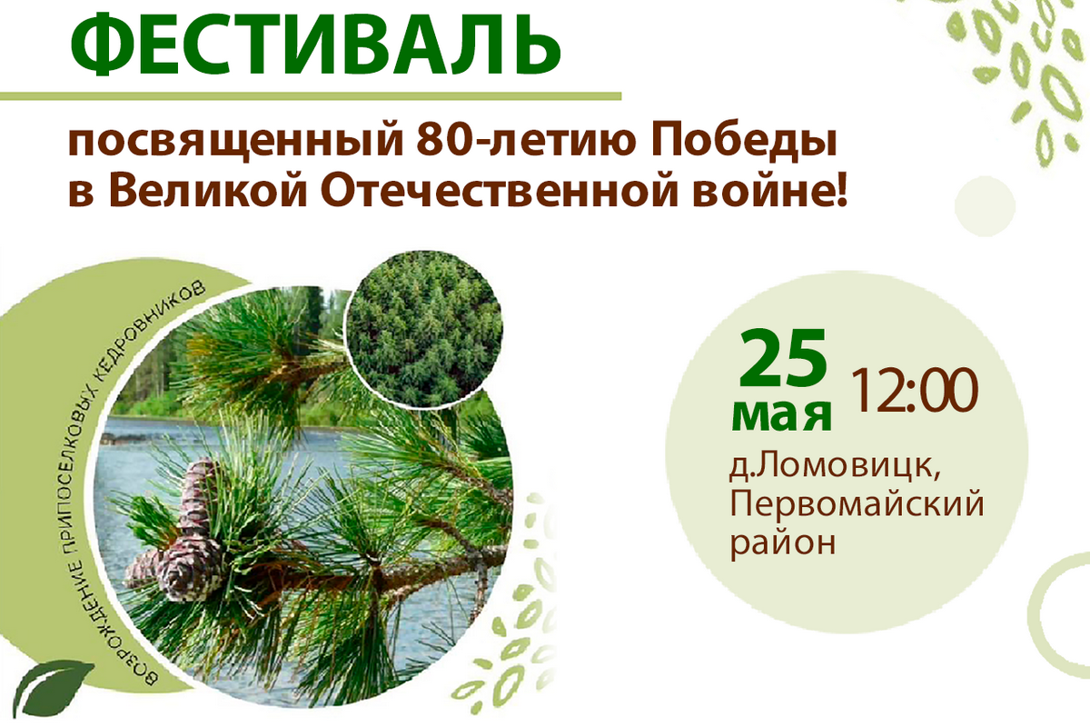 В Томской области пройдет масштабный фестиваль, посвященный 80-летию Победы