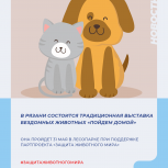 В Рязани состоится традиционная выставка бездомных животных «Пойдем домой»