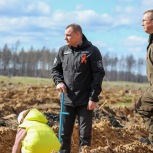 При поддержке «Единой России» в Марий Эл высадили около 5 тысяч деревьев