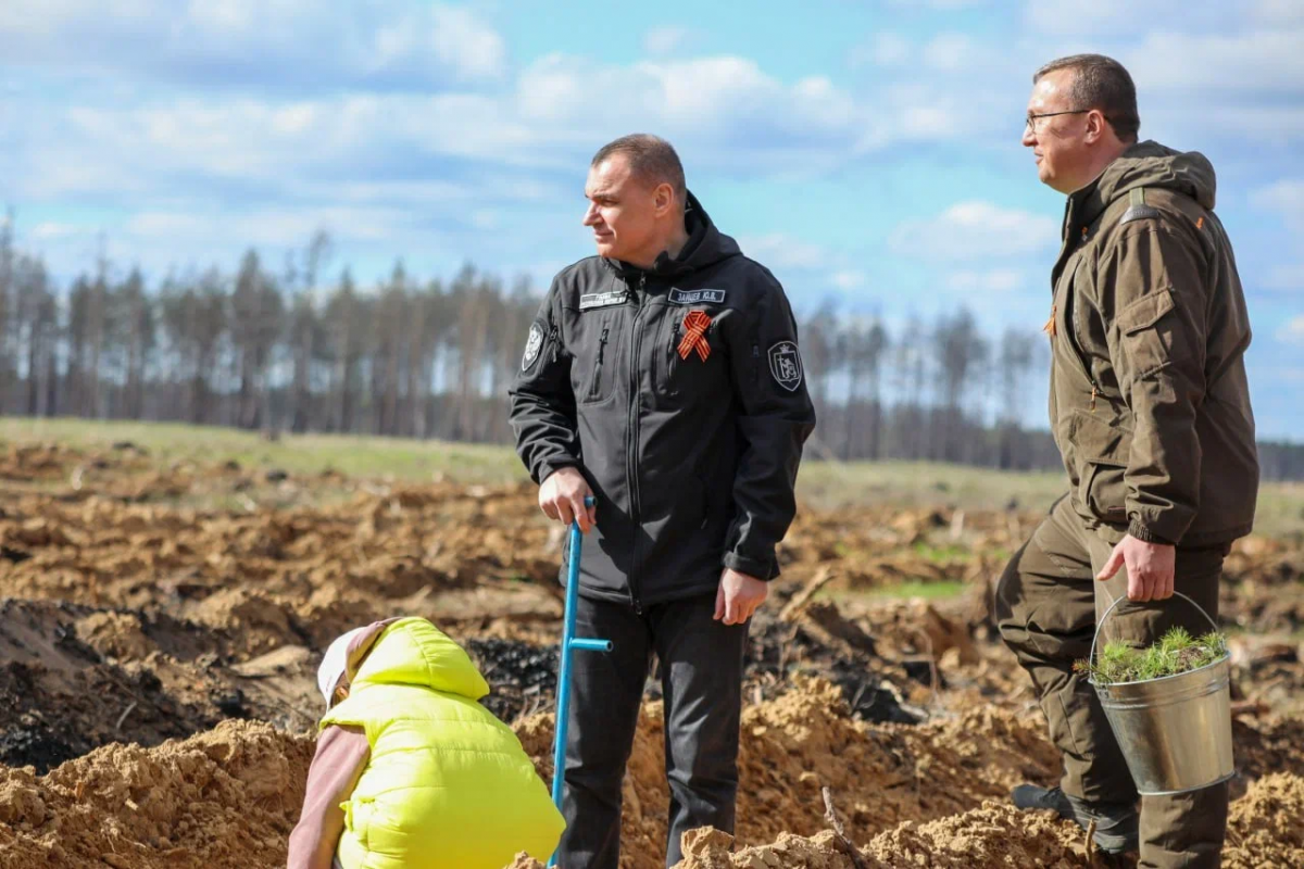 При поддержке «Единой России» в Марий Эл высадили около 5 тысяч деревьев