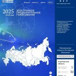 Почти 20 тысяч жителей области приняли участие в предварительном голосовании партии «Единая Россия»