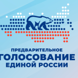 Завершился важнейший этап подготовки к выборам 2025 года — электронное предварительное голосование партии «Единая Россия»