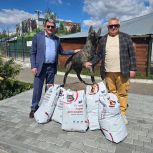 Больше 500 килограммов кормов для животных в зоне СВО собрали барнаульцы