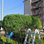 Весенний десант добра: Юные жители села преображают родной край