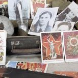 В Свердловской области подвели итоги конкурса школьных музеев «Знать, чтобы помнить»