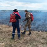 Почти 60 гектаров леса расчищено волонтёрами «Единой России» в Иркутской области за первую смену лагеря «Прибайкальский рубеж»