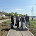 В нашей области продолжается акция «Сад Памяти»