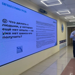 Развитие интеллектуального волонтерства обсудили за круглым столом в Штабе общественной поддержки