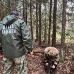 «Мы здесь для того, чтобы сохранять связь поколений». Более 120 бойцов подняли на весенней Вахте Памяти