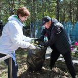 Барнаульские депутаты привели в порядок могилы участников Великой Отечественной войны
