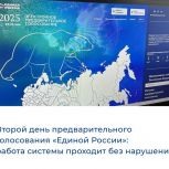Второй день предварительного голосования «Единой России»: работа системы проходит без нарушений