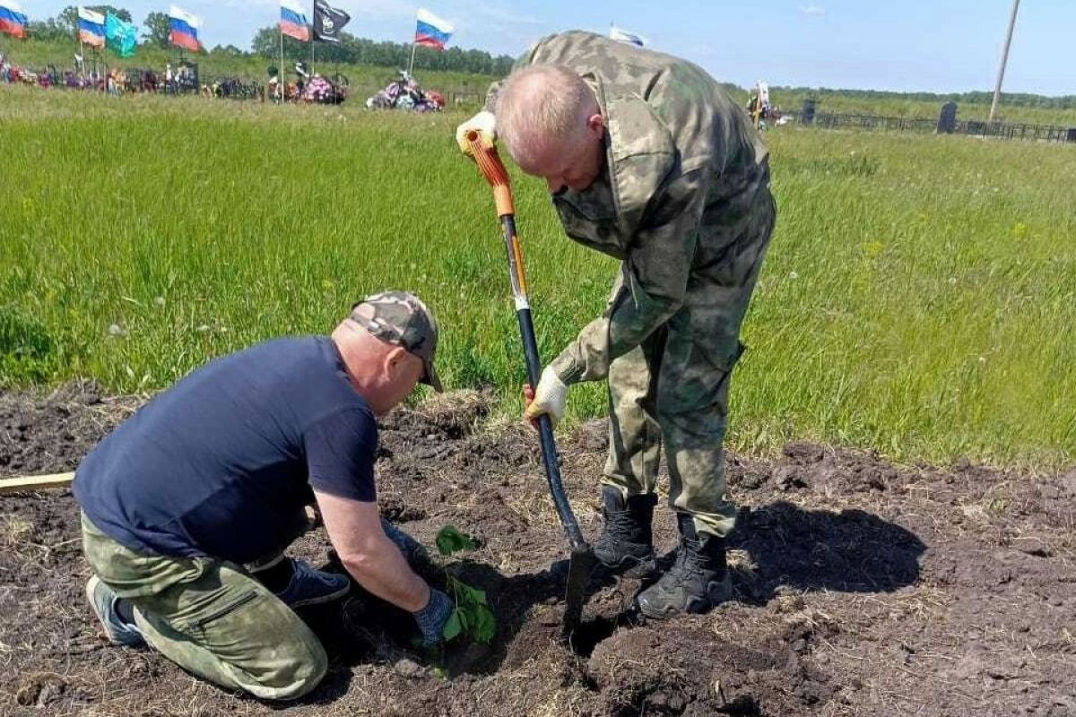Партийцы высадили молодые каштаны на мемориальном захоронении участников СВО