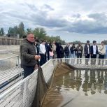 Астраханские бизнесмены участвуют в предварительном голосовании партии «Единая Россия»