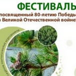 В Томской области пройдет масштабный фестиваль, посвященный 80-летию Победы