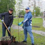 В Пензе «Единая Россия» присоединилась к акции «Сад Памяти»