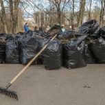 Георгий Филимонов: 53 общественных пространства привели в порядок на Вологодчине в рамках Всероссийского субботника