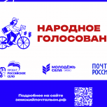 Началось голосование за звание лучшего «Народного почтальона» России