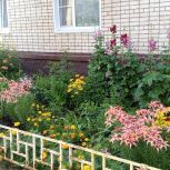 В сентябре в Кирове пройдет праздник цветов