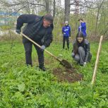 В первомайские праздники Ашинцы присоединились к акции «Майская яблонька»